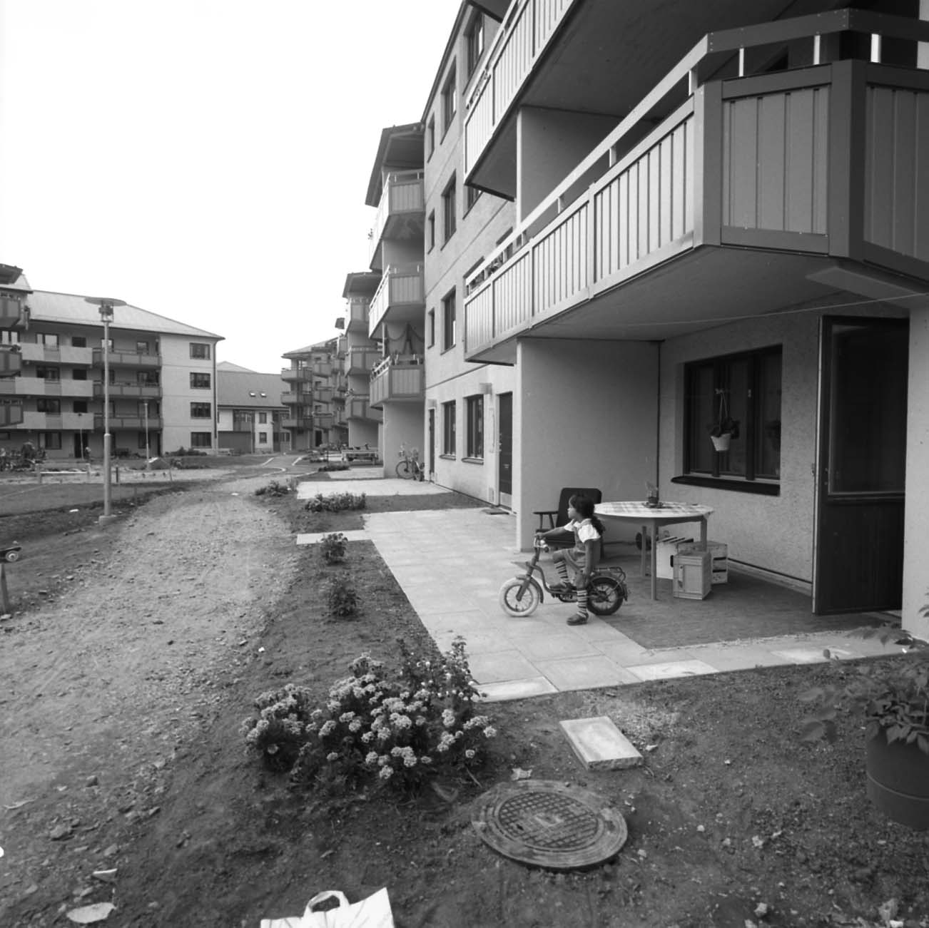 Dalen, Hasselgård, 1970-tal